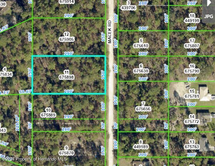 18185 MACEK Road, Weeki Wachee, FL 34614