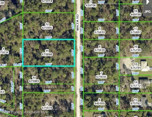 18185 MACEK Road, Weeki Wachee, FL 34614