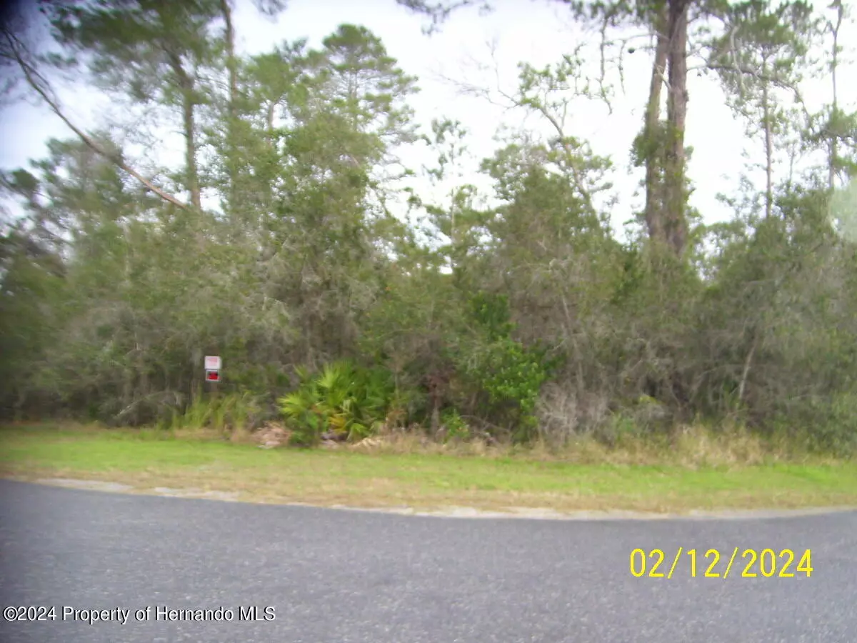 Brooksville, FL 34613,0 Bahama Swallow Avenue