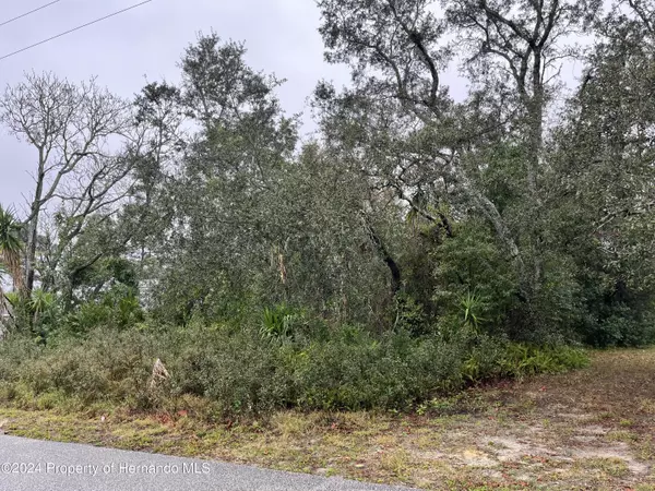 Spring Hill, FL 34609,Dristol Avenue