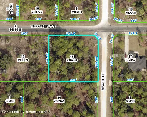 Magpie Road, Weeki Wachee, FL 34613