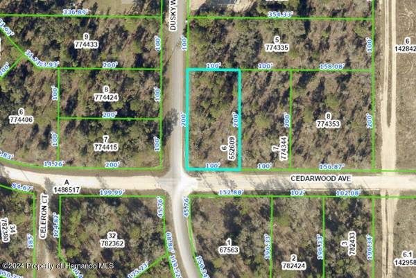 6 DUSKY WARBLER Road, Weeki Wachee, FL 34614