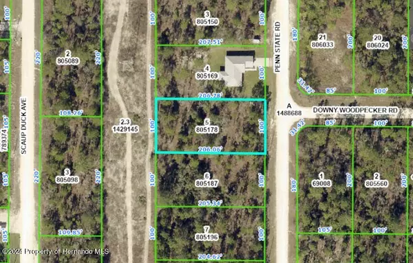 5 PENN STATE Road, Weeki Wachee, FL 34614