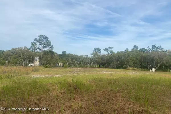 Nightingale Road,  Spring Hill,  FL 34613