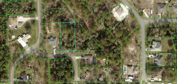 Weeki Wachee, FL 34614,12269 Purple Galinule Avenue