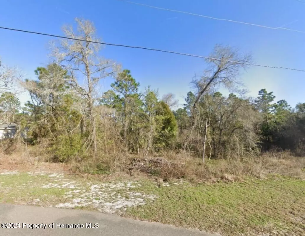 Weeki Wachee, FL 34614,12269 Purple Galinule Avenue