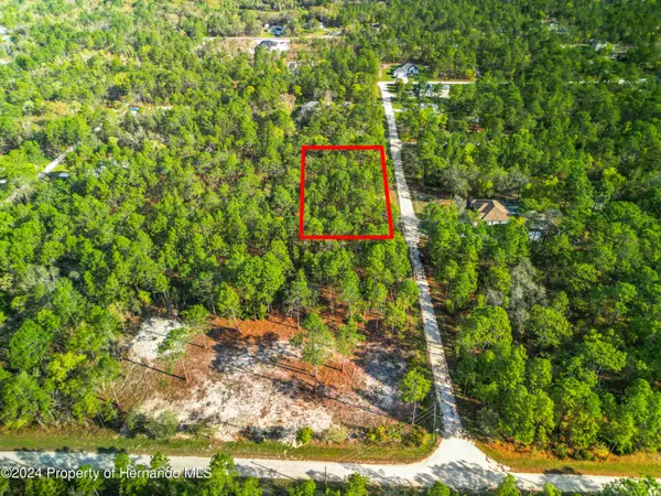 17487 Macy Road, Weeki Wachee, FL 34614