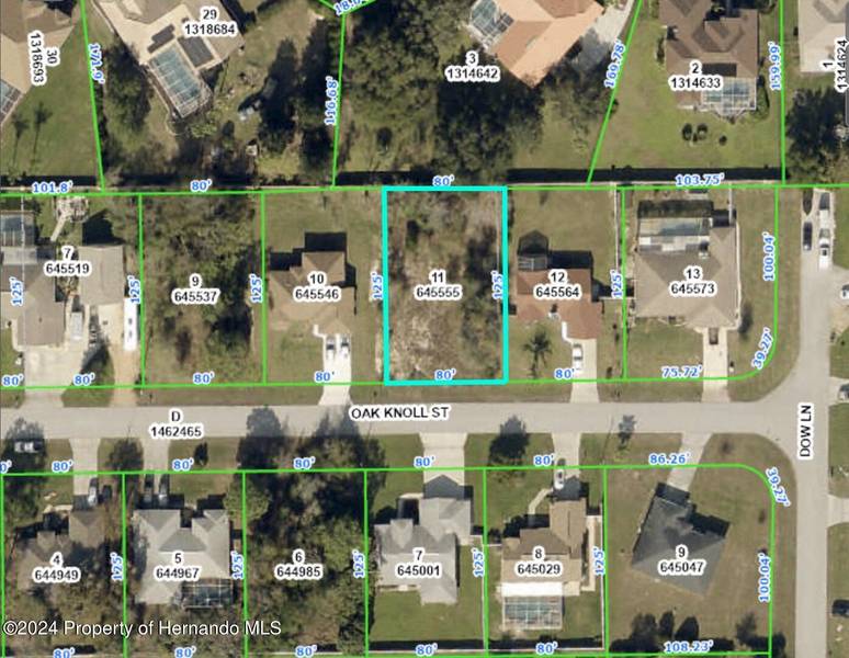 Oak Knoll Street, Spring Hill, FL 34609