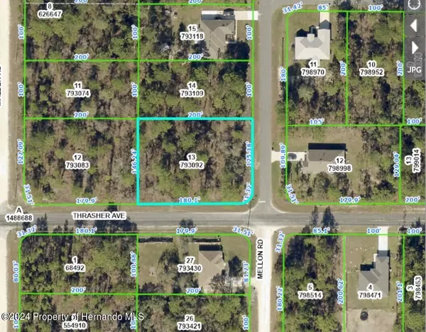 Thrasher Avenue, Weeki Wachee, FL 34614