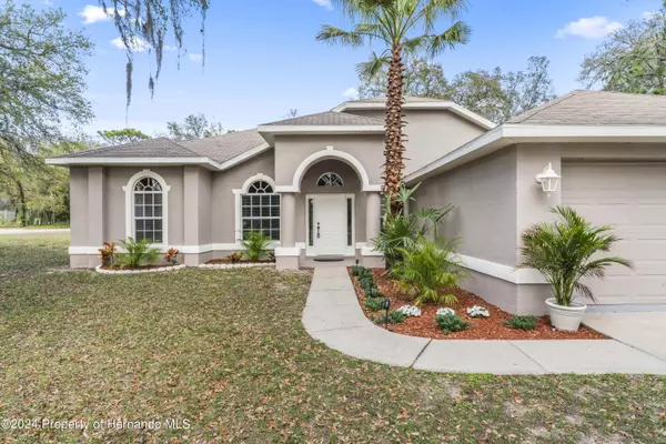 Weeki Wachee, FL 34614,11401 Petrel Avenue