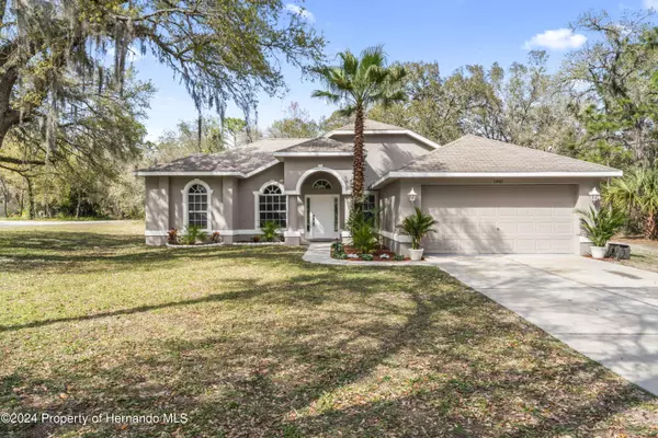 Weeki Wachee, FL 34614,11401 Petrel Avenue