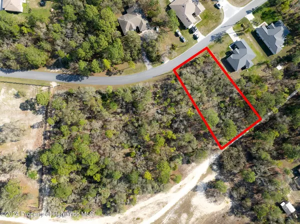 Weeki Wachee, FL 34614,12230 Osprey Avenue