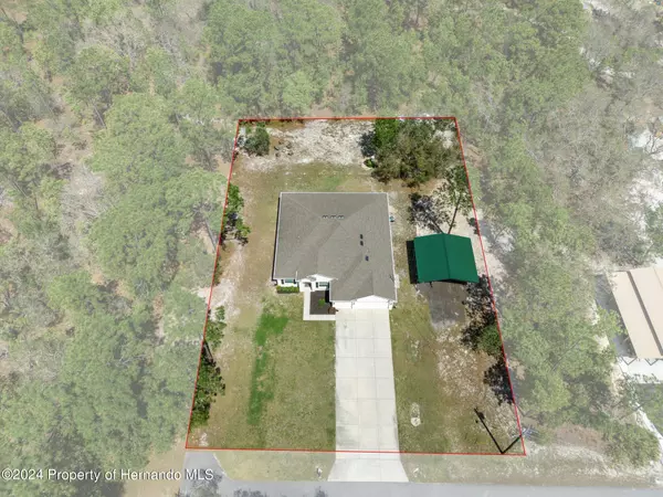 Weeki Wachee, FL 34614,11115 Phylis Avenue