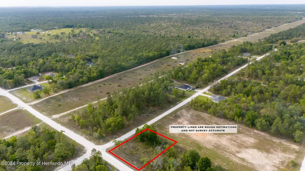 Weeki Wachee, FL 34614,Courlan Road