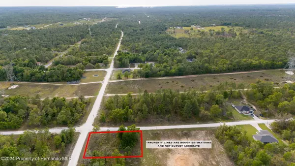 Weeki Wachee, FL 34614,Courlan Road