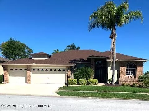 11051 Eagle Blend Drive, Hudson, FL 34667