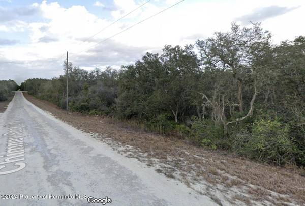 Chimney Rock Drive,  Webster,  FL 33597