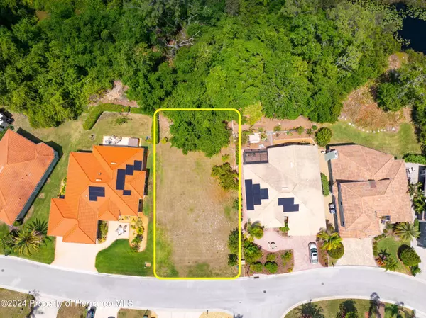 21049 Los Cabos Court, Land O' Lakes, FL 34637