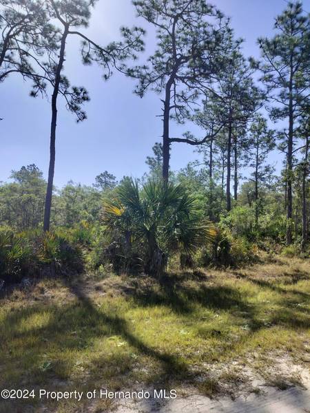 Ramsey Road, Weeki Wachee, FL 34614