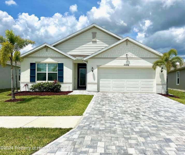 31001 Penny Surf Loop, Wesley Chapel, FL 33545