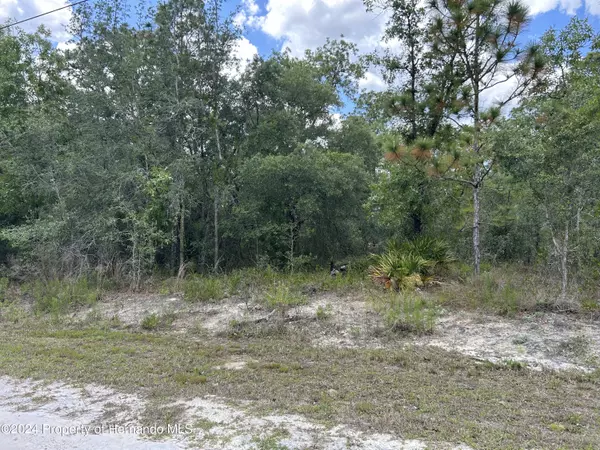 Weeki Wachee, FL 34614,8 Marmotte Road