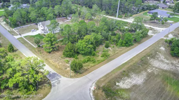 GYRAFALCON Avenue, Weeki Wachee, FL 34613