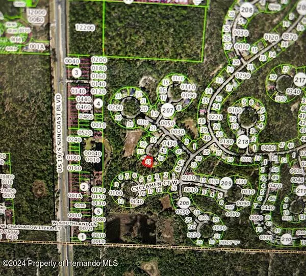 Homosassa, FL 34446,9 Stokesia Court