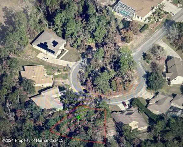 Homosassa, FL 34446,9 Stokesia Court