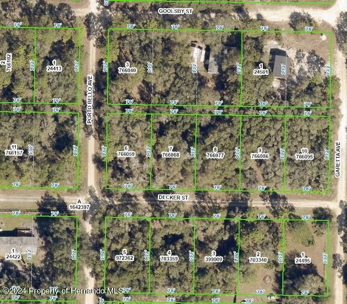 Decker Street, Webster, FL 33597