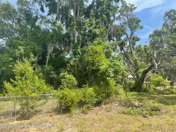 Weeki Wachee, FL 34607,5180 PACIFIC Avenue