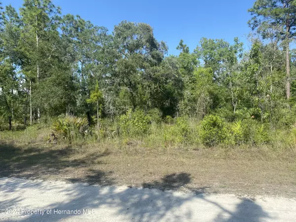 Weeki Wachee, FL 34614,GOLDFINCH Road