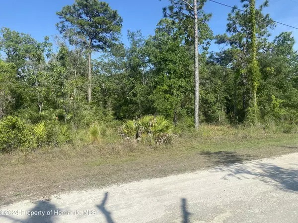 Weeki Wachee, FL 34614,GOLDFINCH Road