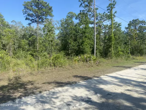 Weeki Wachee, FL 34614,GOLDFINCH Road