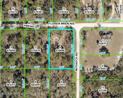 Weeki Wachee, FL 34614,4 FLORIDA WREN Avenue