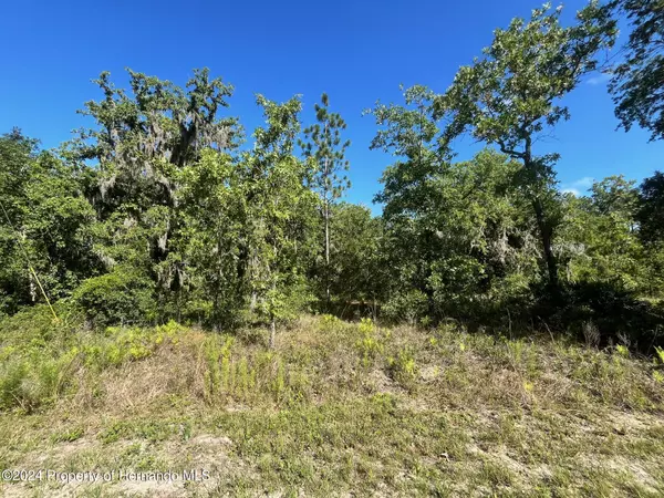 Weeki Wachee, FL 34614,16147 Sheldrake Loop