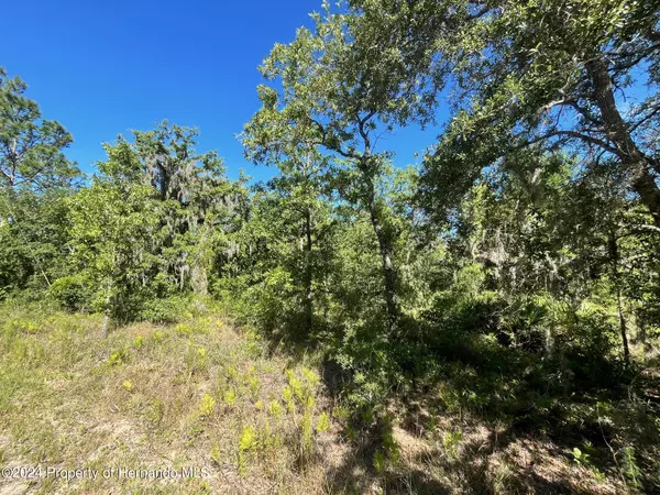 Weeki Wachee, FL 34614,16147 Sheldrake Loop