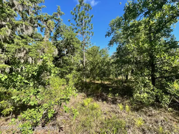 Weeki Wachee, FL 34614,16147 Sheldrake Loop