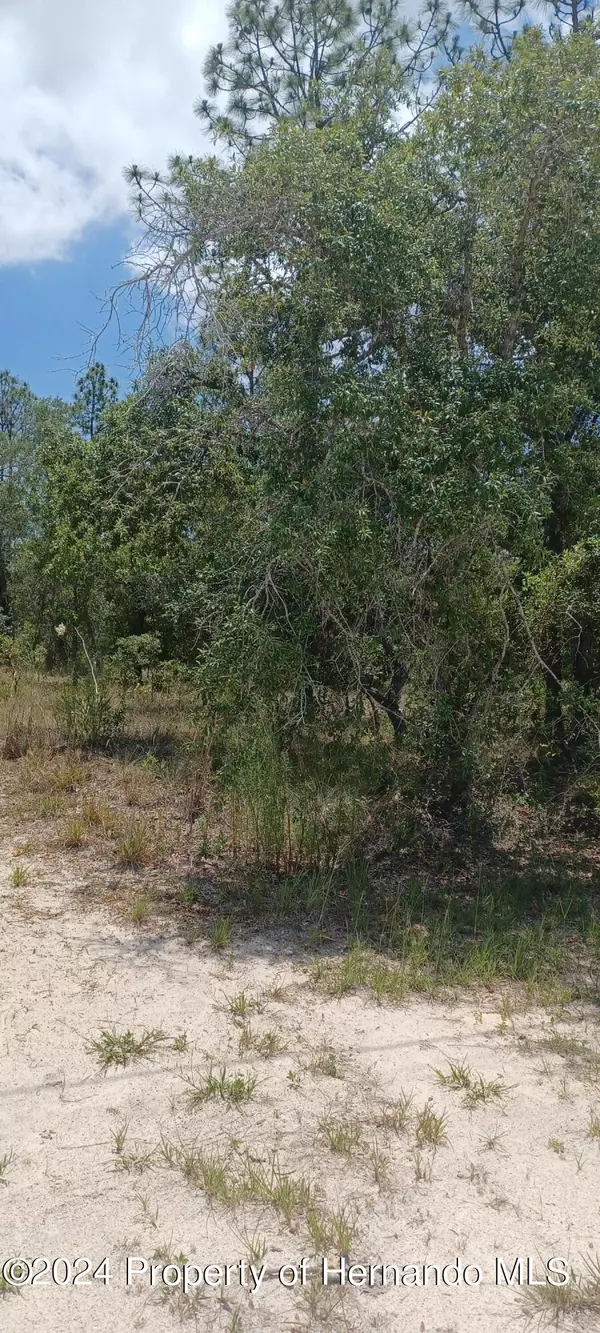 Brooksville, FL 34614,Hawley Road