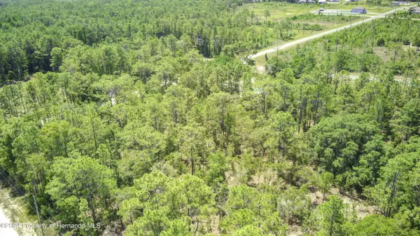 Weeki Wachee, FL 34614,1 Pomp Pkwy