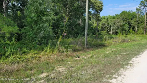 Weeki Wachee, FL 34614,15586 Cliff Swallow Road