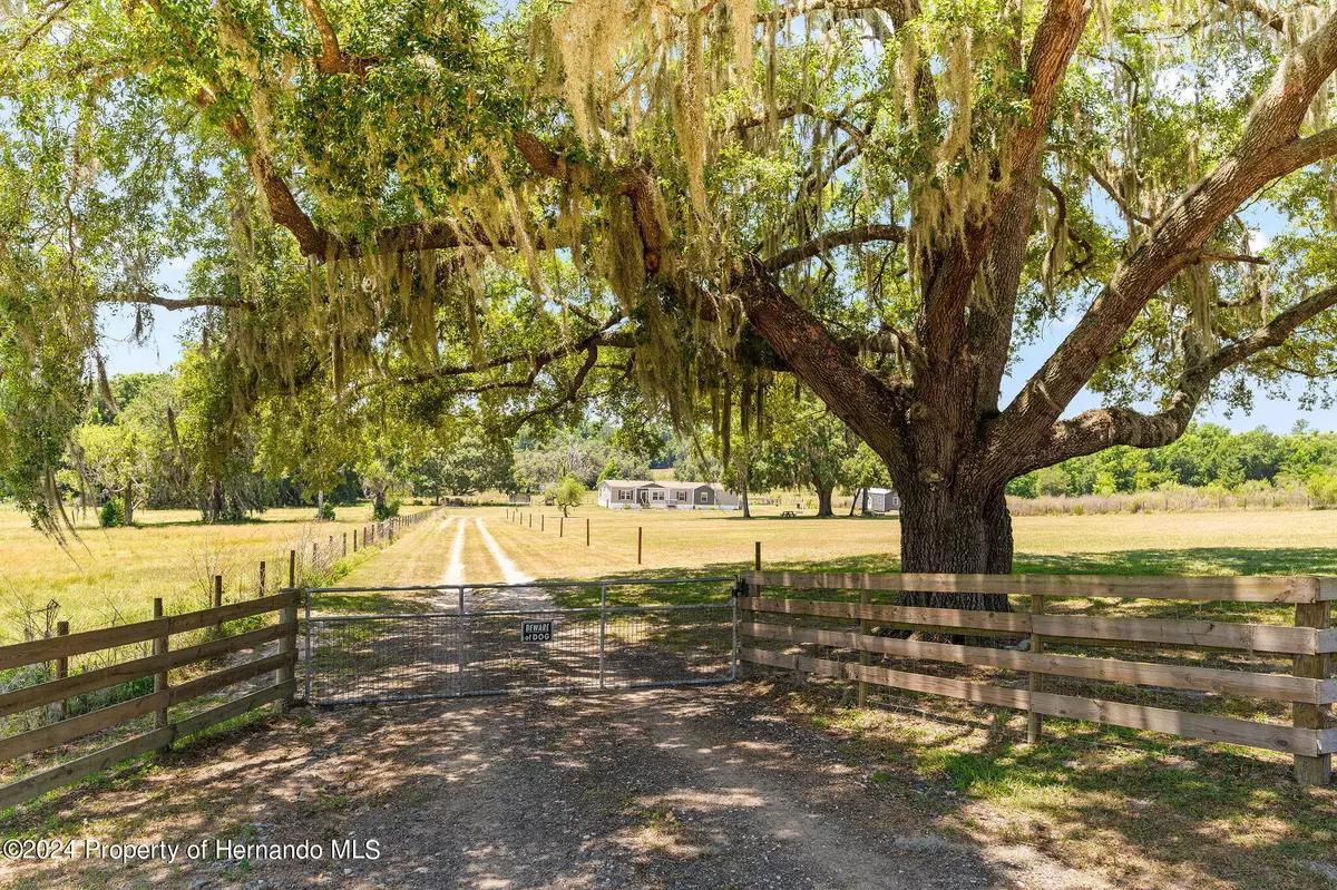 Brooksville, FL 34602,26562 CHARLICK Road