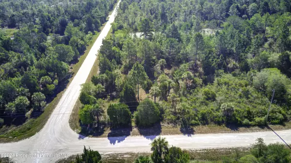 Weeki Wachee, FL 34614,Yellowbird Avenue