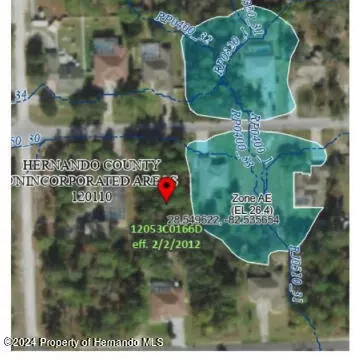 Weeki Wachee, FL 34613,11300 FLOWER Avenue