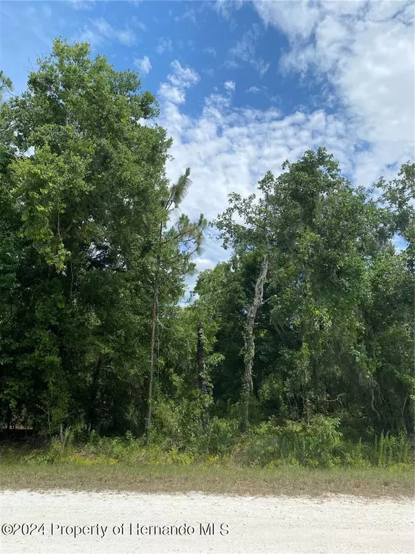 Weeki Wachee, FL 34614,Sooty Tern lot 2 Avenue