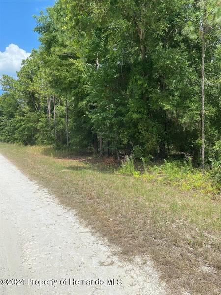 Sooty Tern lot 2 Avenue, Weeki Wachee, FL 34614