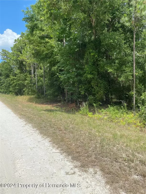 Sooty Tern lot 2 Avenue, Weeki Wachee, FL 34614