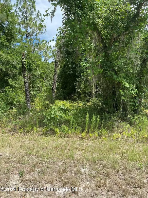 Weeki Wachee, FL 34614,Sooty Tern lot 2 Avenue