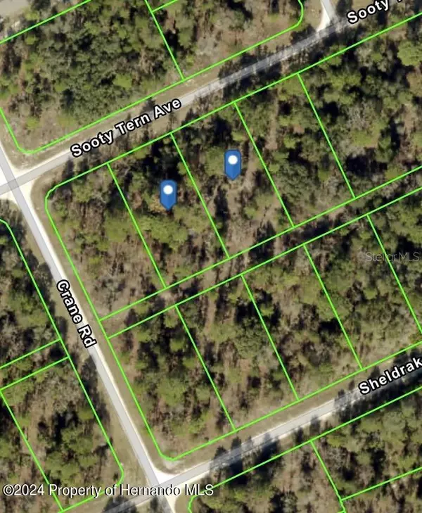 Weeki Wachee, FL 34614,Sooty Tern lot 3 Avenue