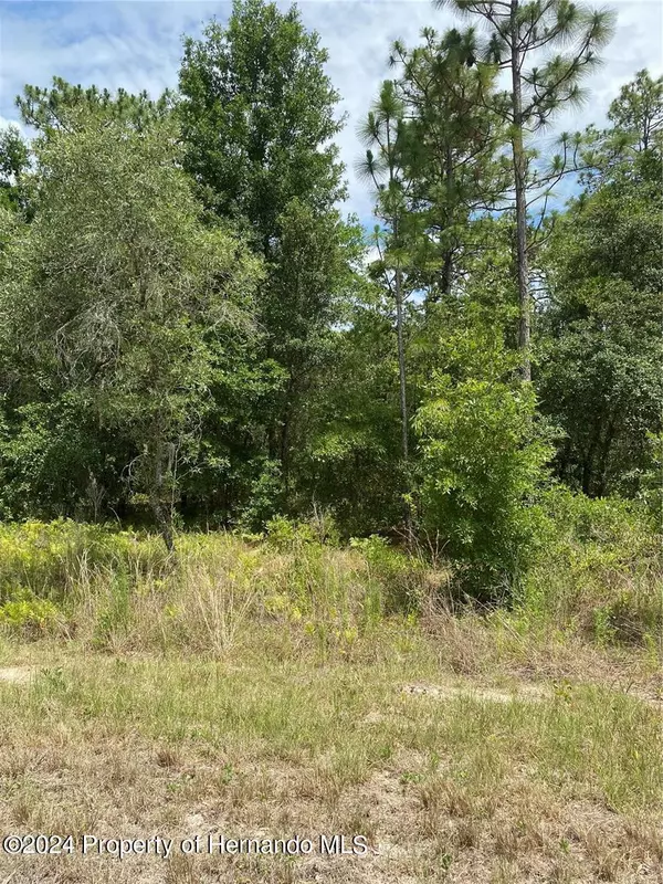 Weeki Wachee, FL 34614,Sooty Tern lot 3 Avenue