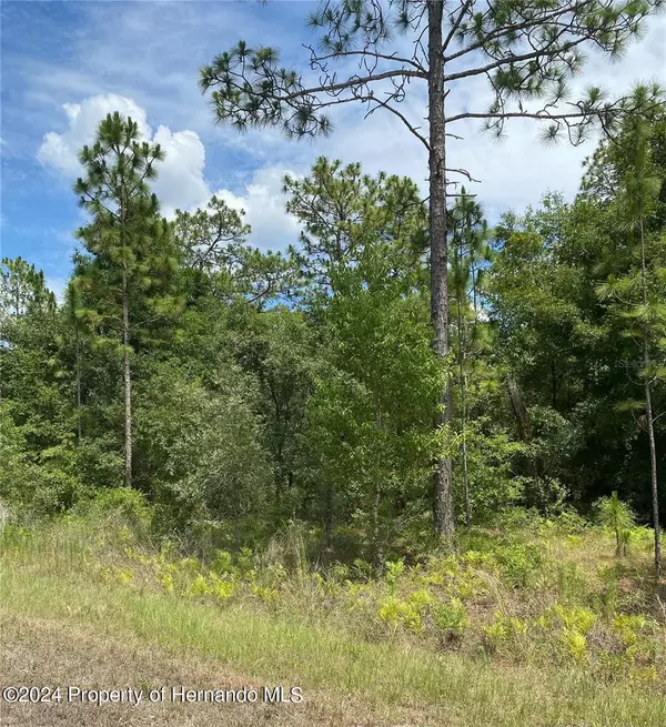 Weeki Wachee, FL 34614,Sooty Tern lot 3 Avenue